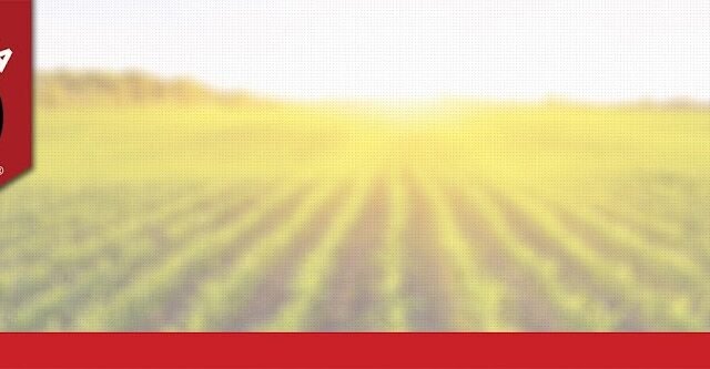 Agromaia Industria e Comercio Importacao e Exportacao de Produtos Agrop. LTDA
