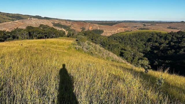 Agropecuaria do Nilo – Unidade PiedadeSP