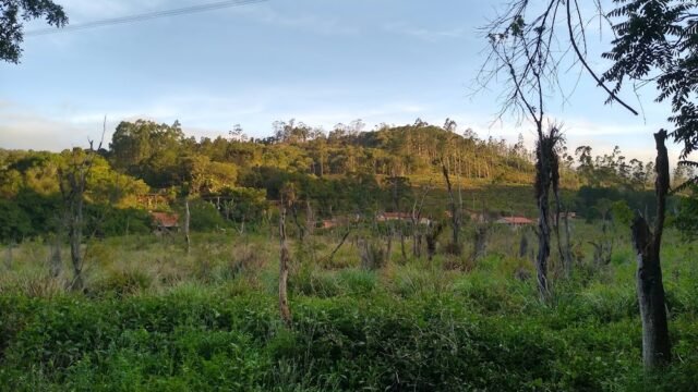 Bairro Gurgel