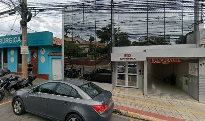 Brenda Rodrigues Fisioterapia vestibular