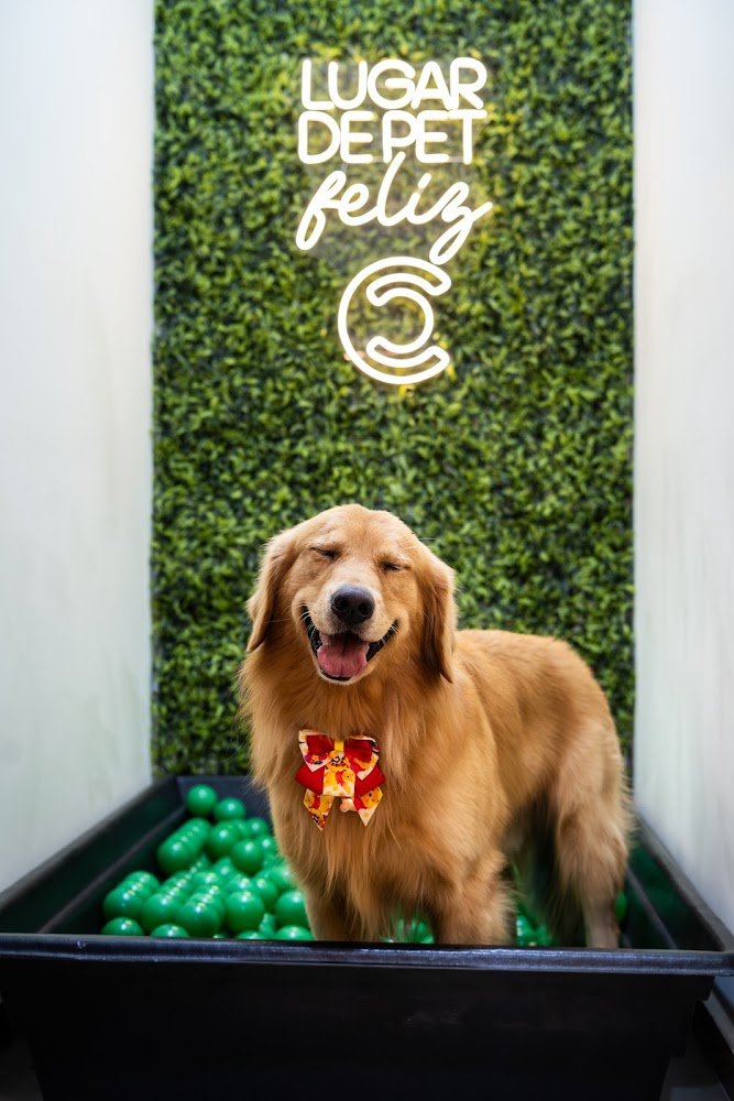 Campal Pet Care & Agropecuaria