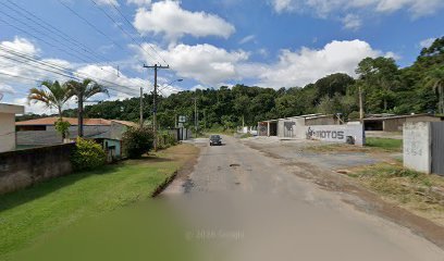 Carvao Lagoeiro