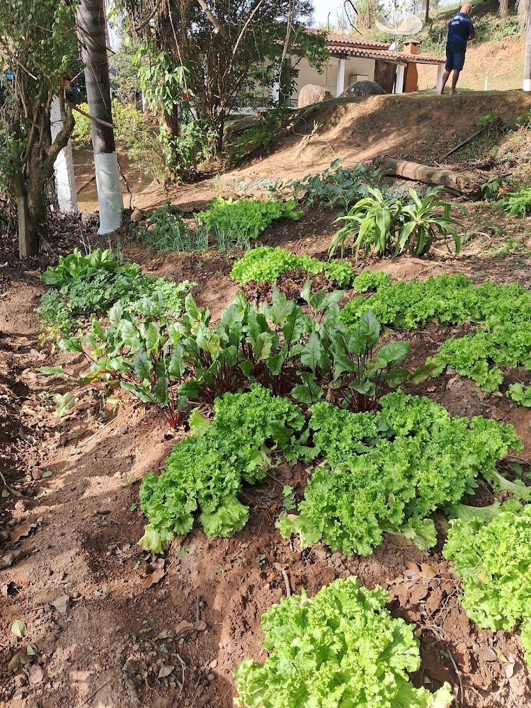 Chacara Vo Penedo