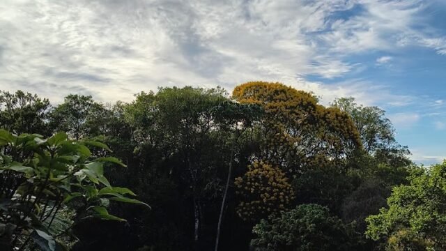 Colonia Caminho da Paz