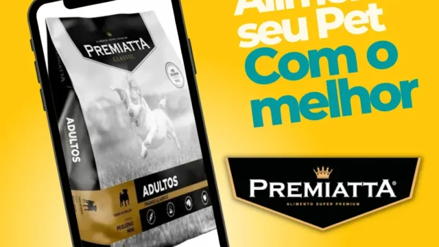 Creare-Agencia