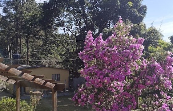 Criatorio Colibri Aves Ornamentais – Sitio Sao Bento