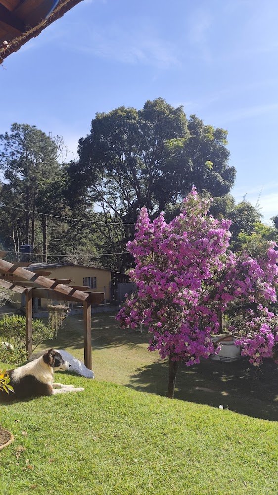 Criatorio Colibri Aves Ornamentais – Sitio Sao Bento