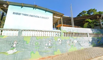 EMEIEF Prof. Paschoal Visconti
