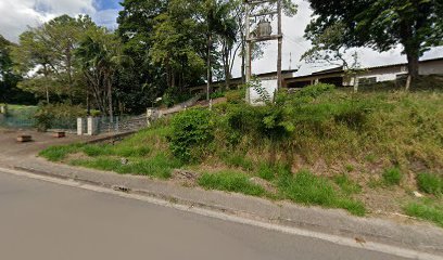 Expresso Piedadense Ltda