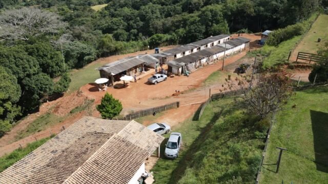 Haras Pedroso