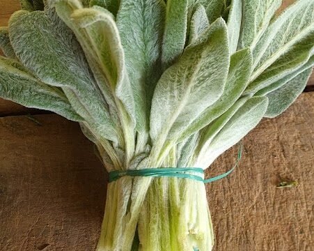 Irani,Verduras e Temperos