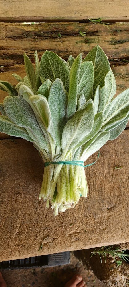 Irani,Verduras e Temperos