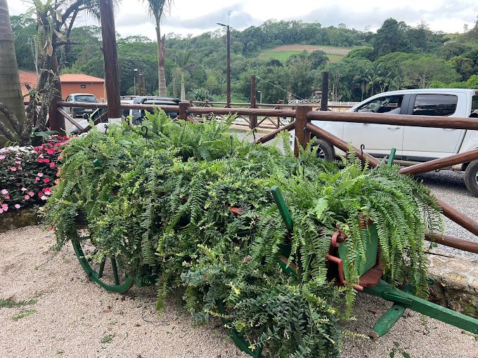 JR Plantas