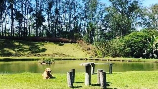 Lago com Peixes , Riacho com cachoeira , Piscina , Pomar . Vale a pena conferir