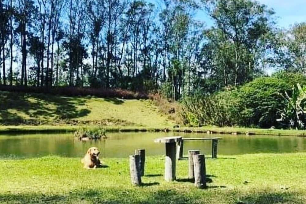 Lago com Peixes , Riacho com cachoeira , Piscina , Pomar . Vale a pena conferir