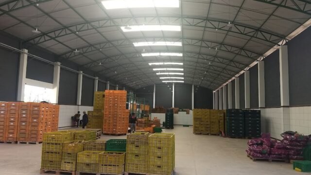 Legumes Prestes