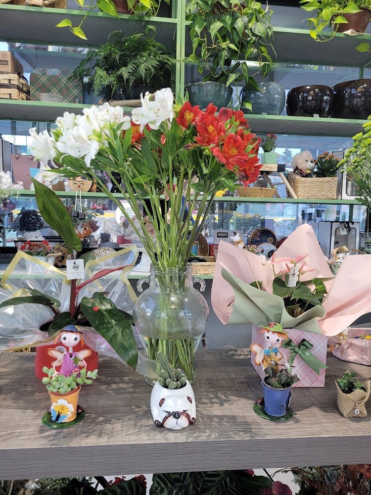 Maria flor floricultura piedade sp