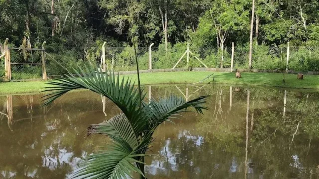 Pesqueiro-Beatriz