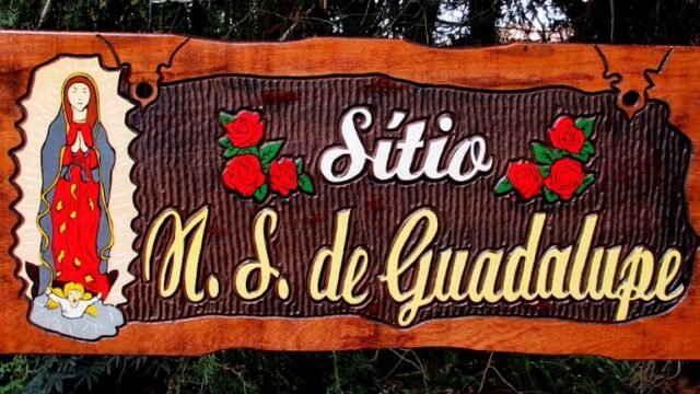 Pica Pau – Entalhes em Madeiras