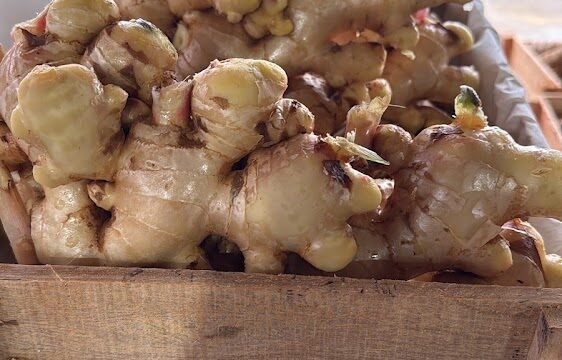 RS Legumes