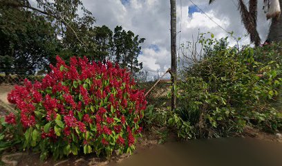 Sitio Camargo