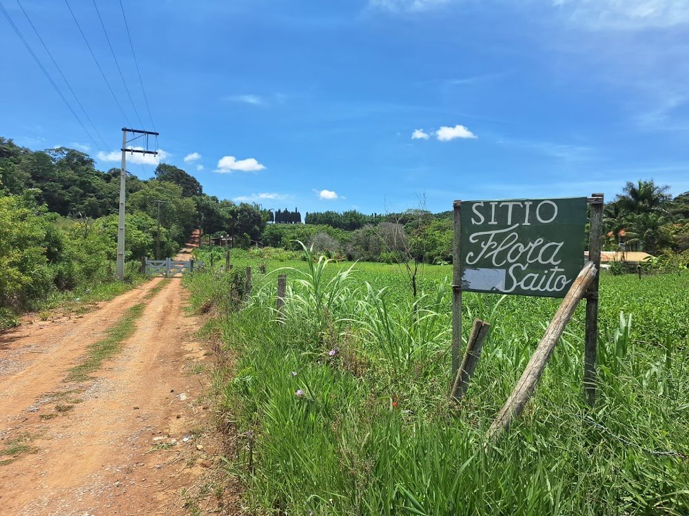 Sitio Flora Saito Piedade