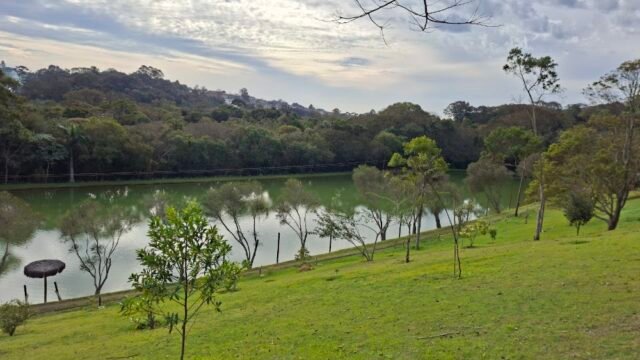 Sitio Jupati (organicos)