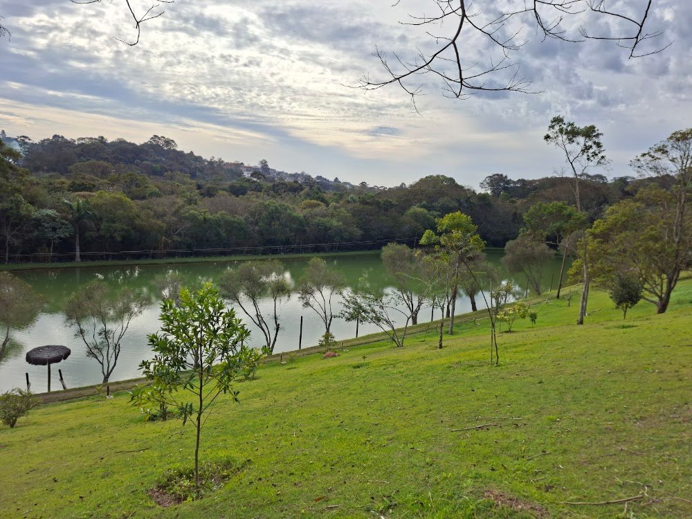 Sitio Jupati (organicos)