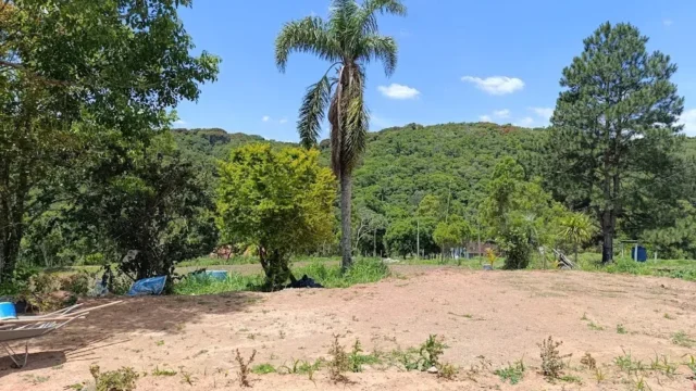 Sitio-Recanto-Mirtilos