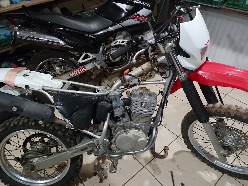 Tio bino moto