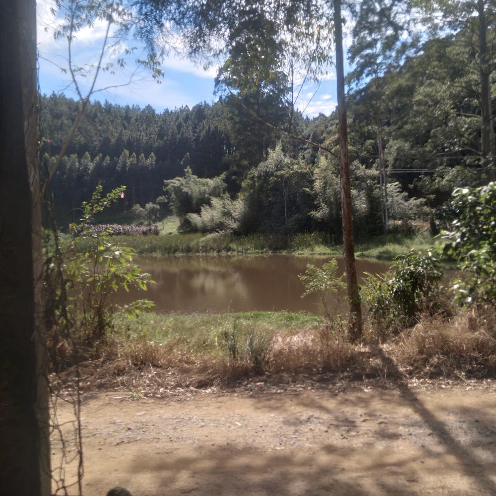 Vale dos Ipes